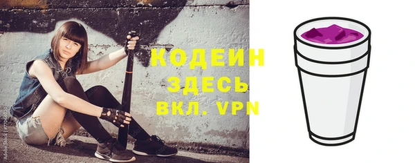 индика Богданович