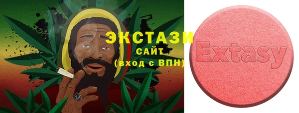 индика Богданович