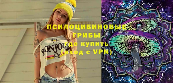 индика Богданович