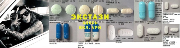 индика Богданович