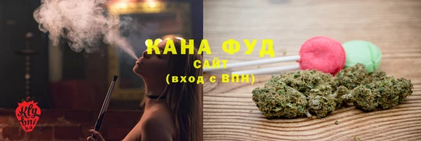 индика Богданович