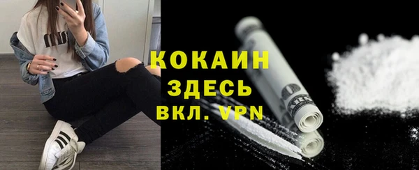 индика Богданович