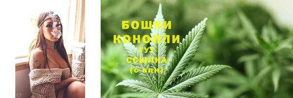 индика Богданович