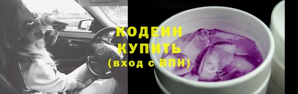 индика Богданович