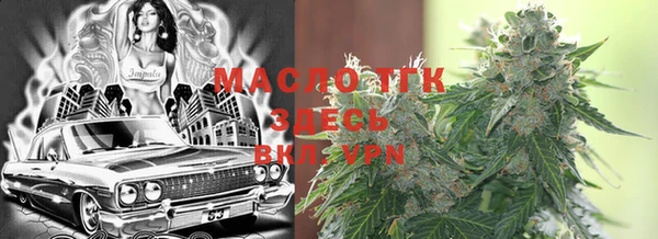 индика Богданович
