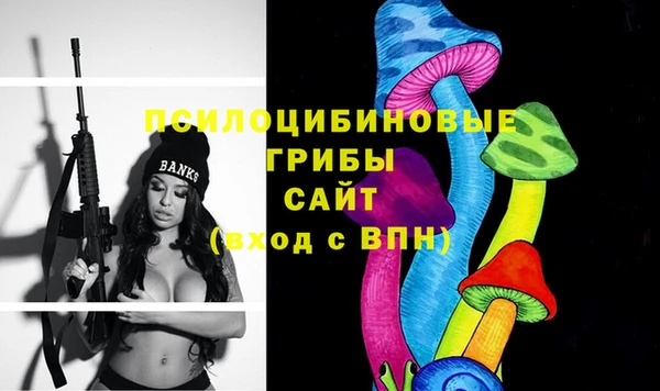 индика Богданович