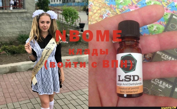 индика Богданович