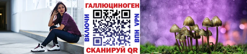Купить где  Грайворон  Галлюциногенные грибы MAGIC MUSHROOMS 